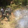 Naggota TNI bersama warga setempat berjibaku melakukan pemadaman api di desa Padabeunghar.
